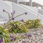 Aparthotel Sunset Village Milos