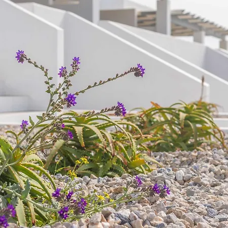 Aparthotel Sunset Village Milos