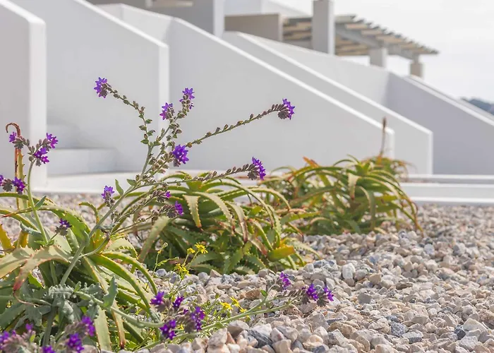 公寓式酒店 Sunset Village